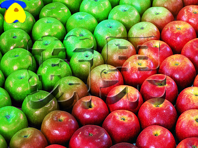 apple01