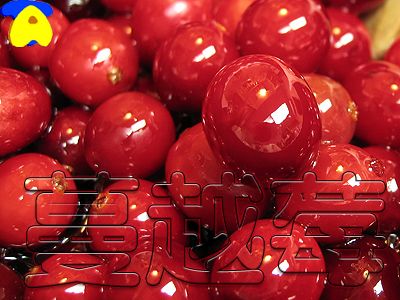 cranberry01