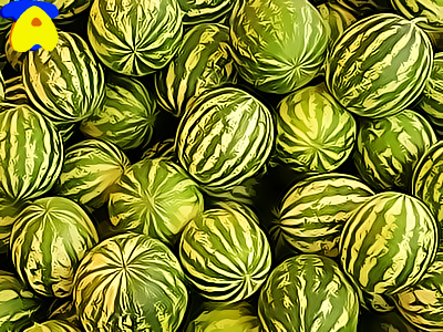 melon02