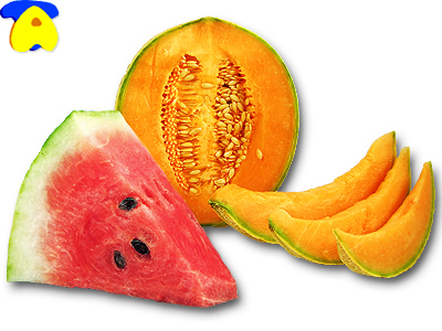 melon03