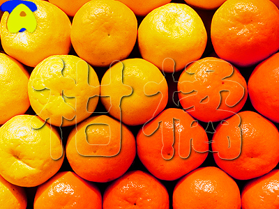 orange01