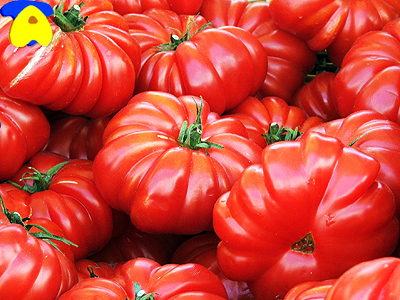 tomato02