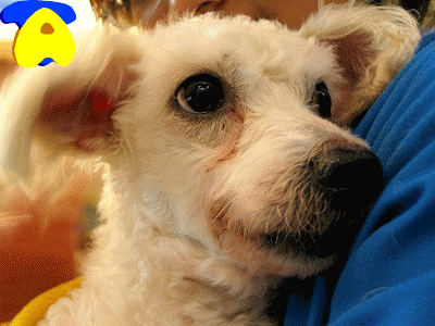 gif  epiphoria_001-175